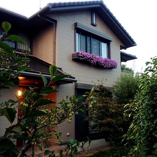 bac-a-fleurs-rebord-fenetre-romarin-thym-idees-deco-exterieure