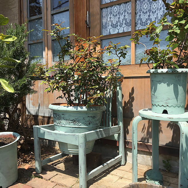 鉢ペイント リメイク ガーデニング 椅子 塗り直し などのインテリア実例 19 04 21 12 15 01 Roomclip ルームクリップ