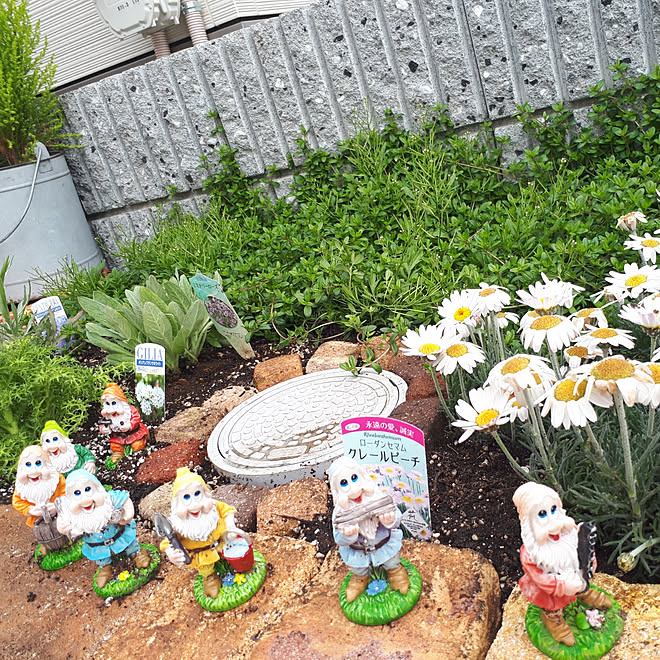 植物のある暮らし/お花大好き♡/ちいさなお庭/てづくりの庭/まだまだ初心者☆...などのインテリア実例 - 2018-04-17 13:22:19