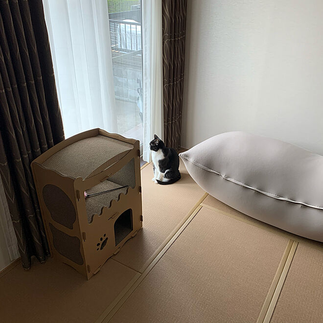 猫ハウス/Yogiboビーズソファのある部屋/Yogibo Max/猫と暮らす/猫と暮らす家...などのインテリア実例 - 2020-12-06 11:08:59