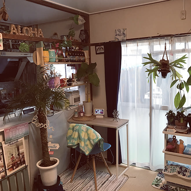 ariceさんの部屋