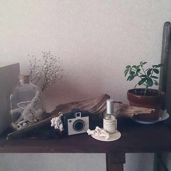 棚/一人暮らし/セリアの花瓶/賃貸/植物...などのインテリア実例 - 2015-04-07 16:43:35