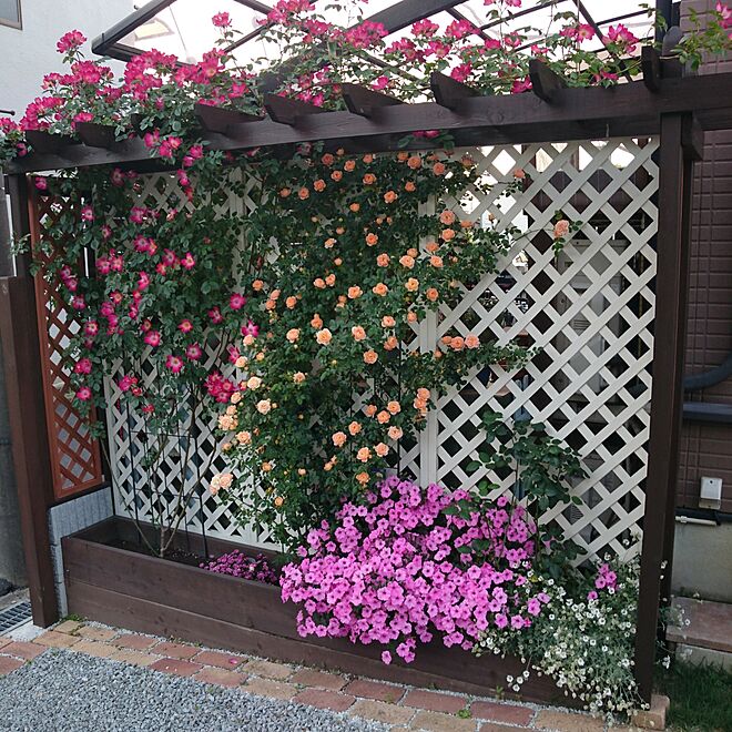 庭/庭DIYのインテリア実例 - 2017-05-07 20:30:53