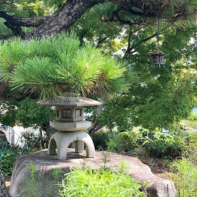 和/灯籠/日本庭園/帰省中/いいね!ありがとうございます◡̈♥︎...など