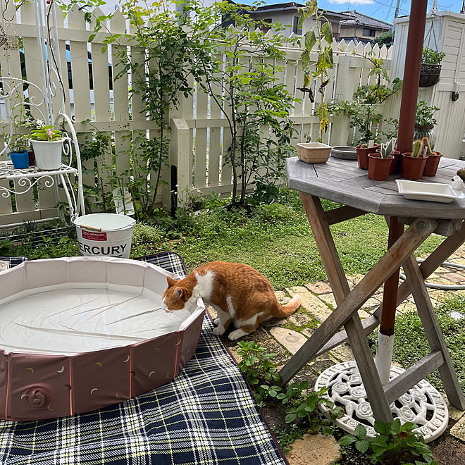 sakuraさんの部屋