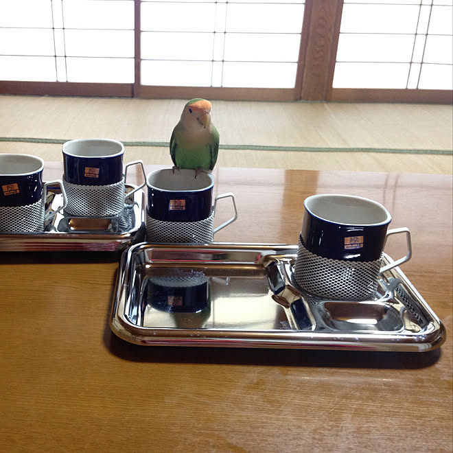 リビング/インコ/食器のインテリア実例 - 2018-06-19 09:04:01