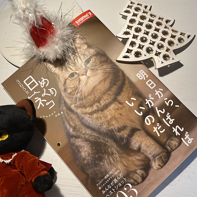 猫も飼いたい 365日 日めくりネコ 日めくりカレンダー 白く塗っただけdiy などのインテリア実例 11 28 23 33 35 Roomclip ルームクリップ