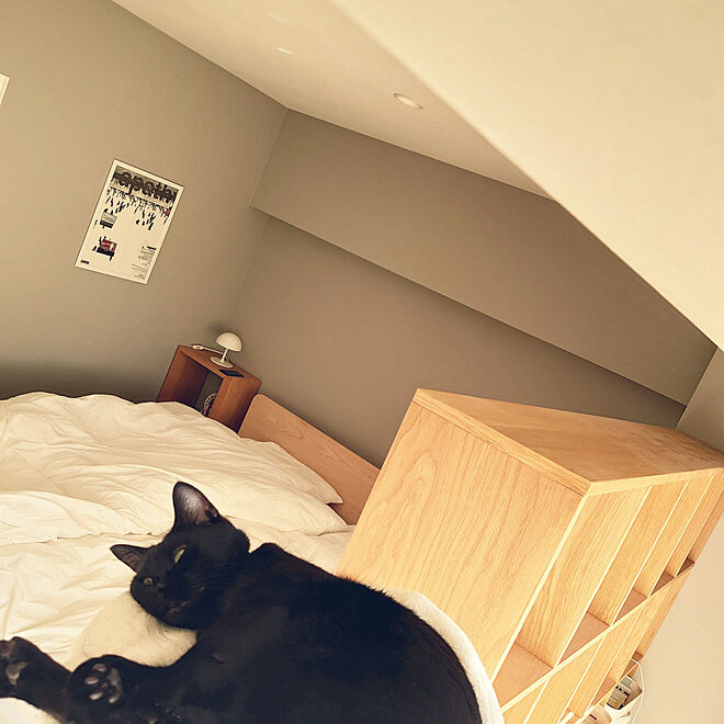Blackcatさんの部屋