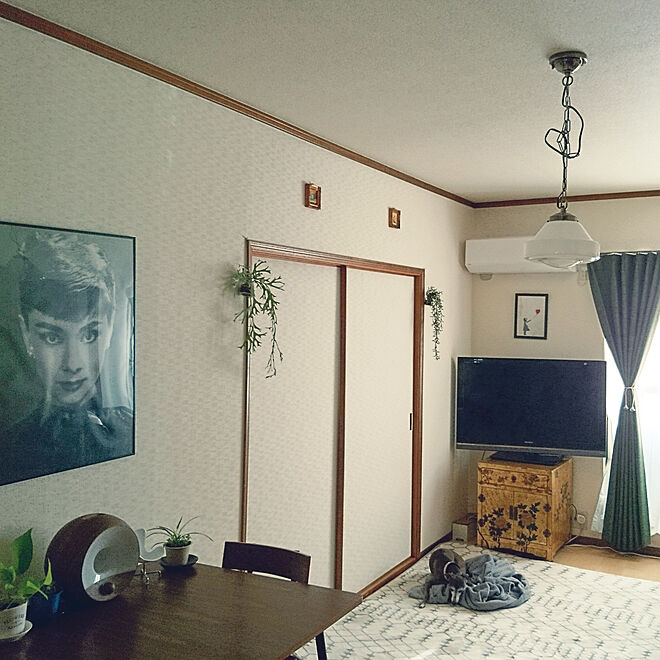 moruさんの部屋