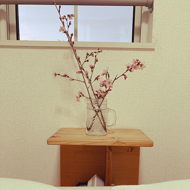 お花見気分/桜/ベッド周り/ねこのいる風景/ねこのいる日常...などのインテリア実例 - 2023-03-12 18:17:32