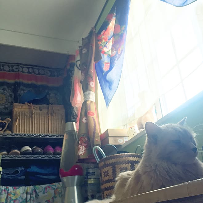 nekohigeさんの部屋