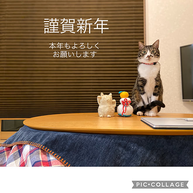 年賀状風に 幸多き一年となりますように こんな写真でごめんなさい 正月も仕事 ズボラ などのインテリア実例 22 01 01 06 06 23 Roomclip ルームクリップ