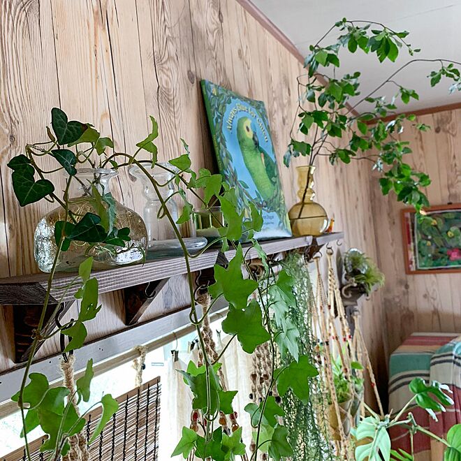 壁/天井/La Soufflerie/吊るす植物/茶色/観葉植物...などのインテリア実例 - 2020-07-19 16:22:18