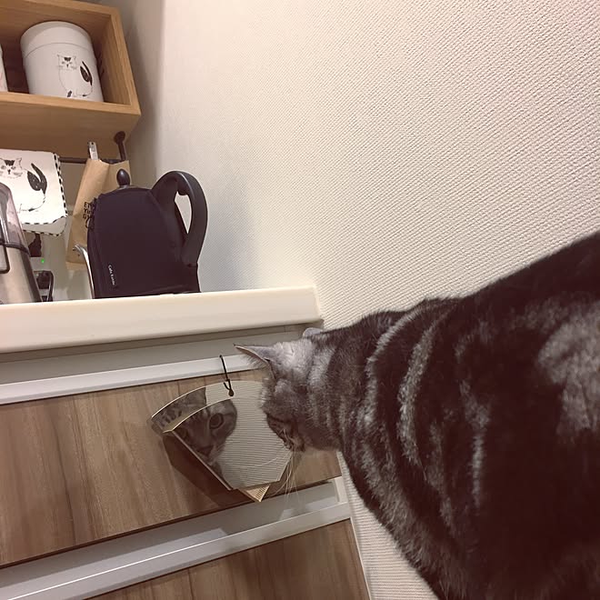 mikomaruさんの部屋