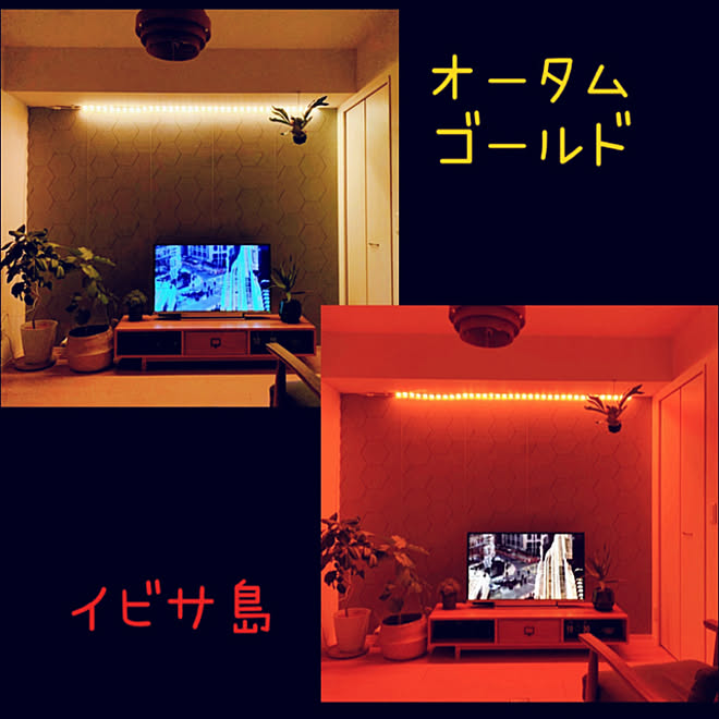 テレビ周り/Hue ライト リボン/スマート家電/Philips Hue/間接照明...などのインテリア実例 - 2020-12-27 09:47:25