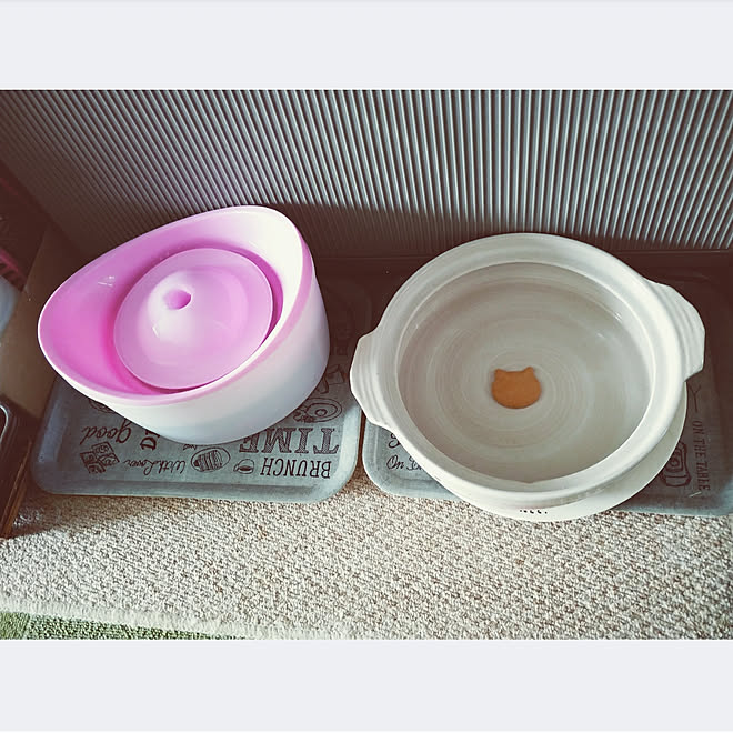 Gex製品/モニター当選/ピュアクリスタルお皿にpon/猫カフェ風/猫好き ...