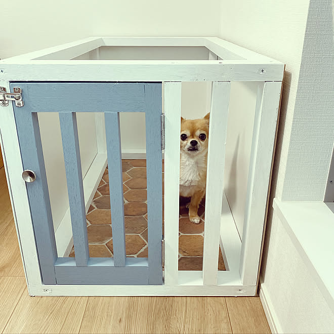 週間売れ筋 大人のギフト 犬ケージ 北欧 シンプル モダン ナチュラル 犬用品 Smarthomeconcept Ro Smarthomeconcept Ro