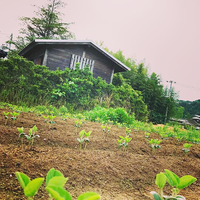 Nagakoさんの部屋