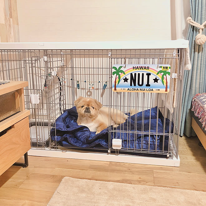 NUIさんの部屋