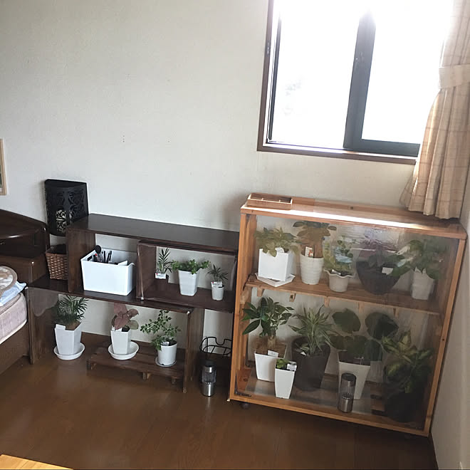 DCMカーマ/観葉植物/ダイソー/DIY/ねこと暮らす...などのインテリア実例 - 2020-10-05 07:51:09