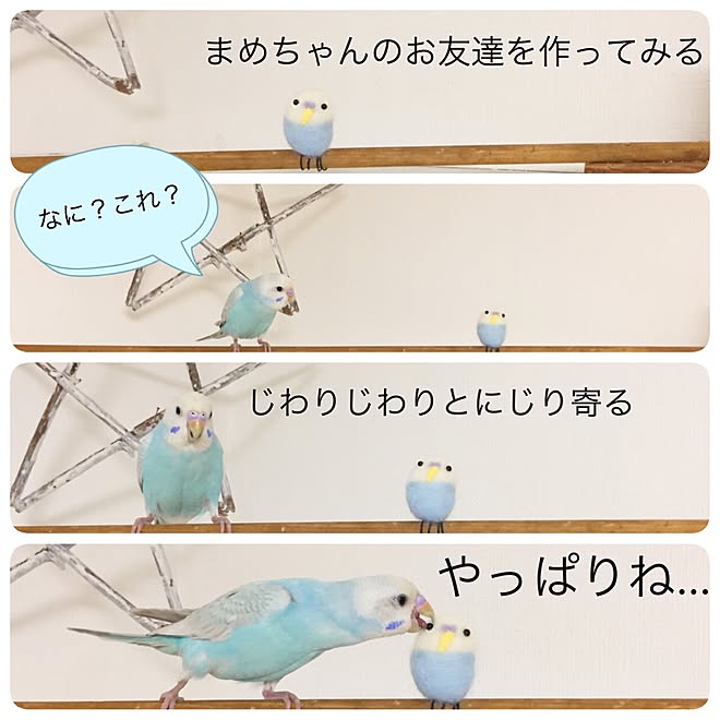 リビング/セキセイインコのまめちゃん/羊毛フェルト/インコテリアのインテリア実例 - 2017-01-30 21:09:44