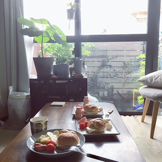 朝ごはんプレート/IKEA/BotaNice/多肉植物/観葉植物...などのインテリア実例 - 2019-07-21 08:55:14