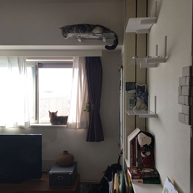 mikomaruさんの部屋