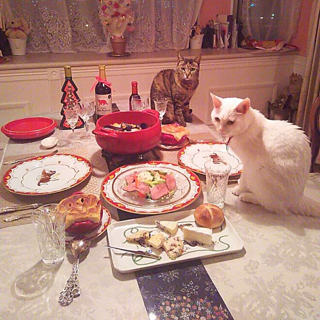 キッチン/クリスマスディナー/NO CAT,NO LIFE❤️/タフ猫同盟/ぽて猫部...などのインテリア実例 - 2016-12-24 21:26:30
