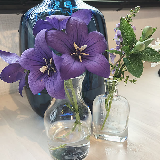 お花のある暮らし 桔梗 花 花瓶 小瓶 などのインテリア実例 06 03 07 24 37 Roomclip ルームクリップ