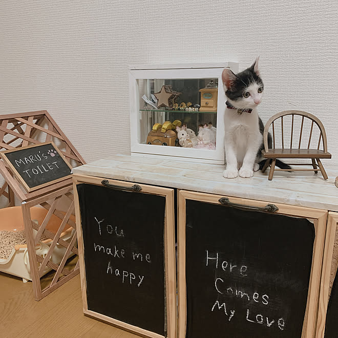 すべて100均 猫トイレカバーdiy 猫トイレ Seriaリメイクシート ハチワレ などのインテリア実例 06 21 21 05 25 Roomclip ルームクリップ すべて100均 猫トイレカバーdiy 猫トイレ Seriaリメイクシート ハチワレ などのインテリア実例 06 21 21 05 25 Roomclip ルームクリップ