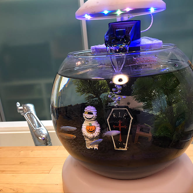 テトラ (Tetra) ウォーターフォールアクア WG-25LS アクアリウム