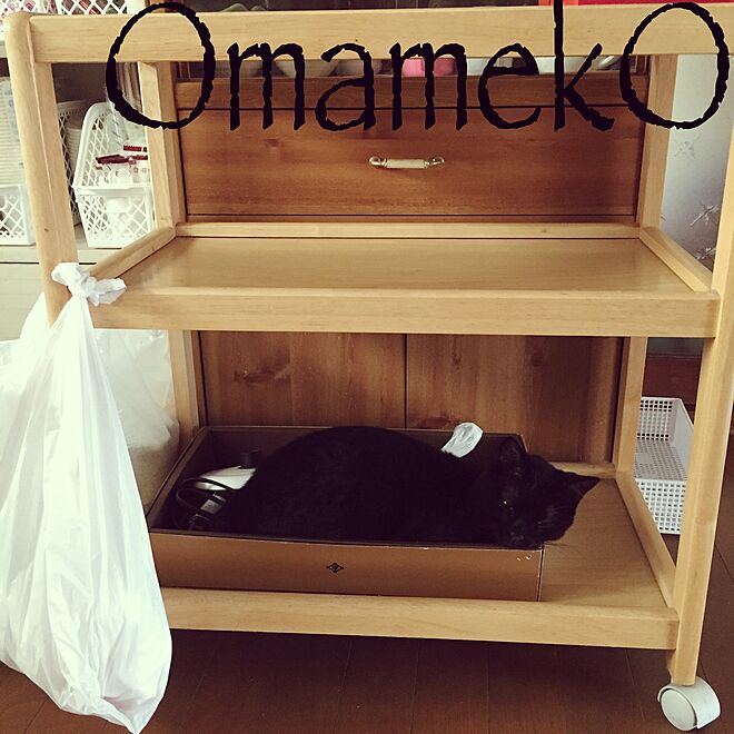 OmamekOさんの部屋
