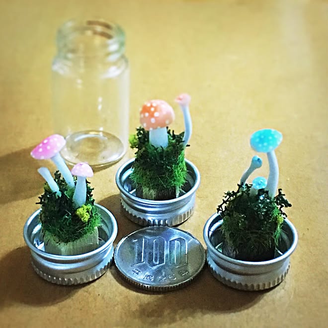 キノコ/植物/手づくり市のインテリア実例 - 2017-02-22 23:03:58