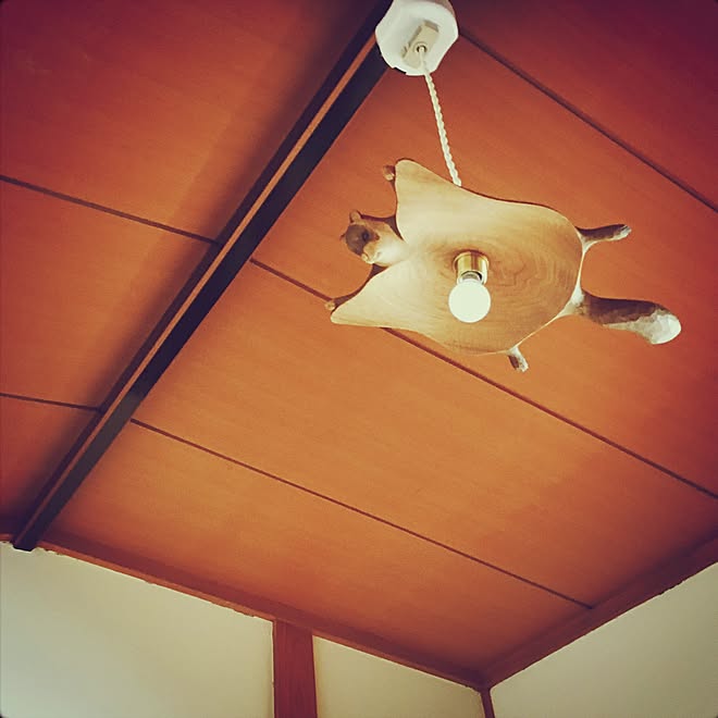 KIYATA ムササビランプ