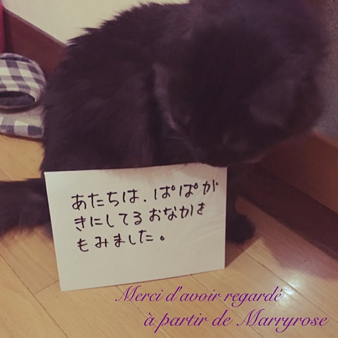 maria.rさんの部屋