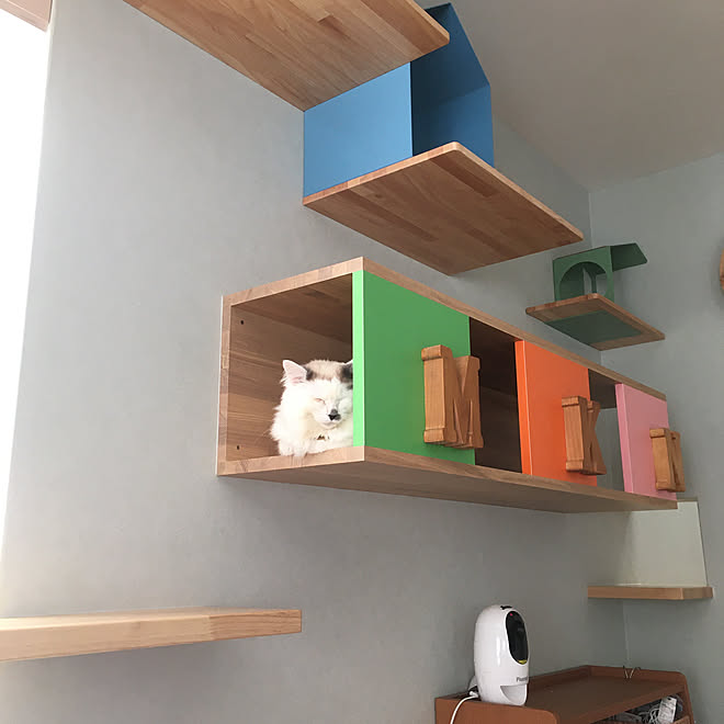 nyancohomeさんの部屋