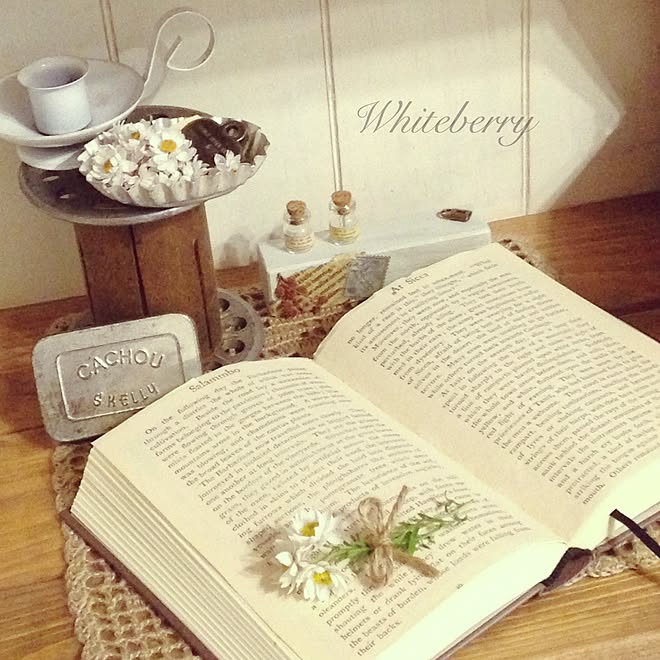 Whiteberryさんの部屋