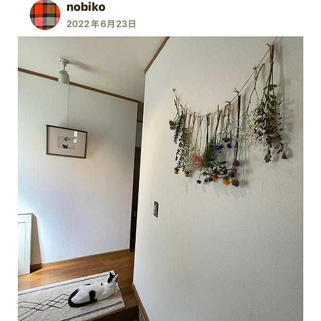 nobikoさんの部屋