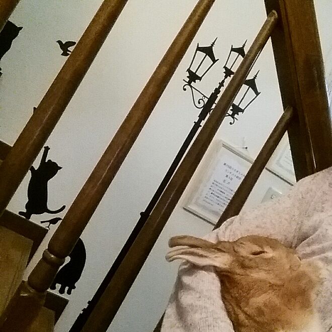 rabbitさんの部屋