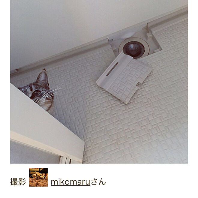 mikomaruさんの部屋