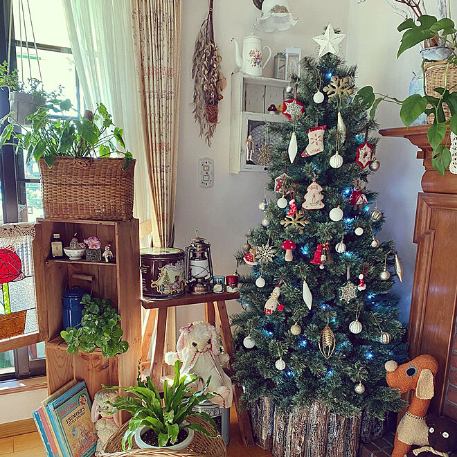クリスマスツリー/クリスマスツリー出しました/アンティークのある暮らし/クリスマス/植物と暮らす...などのインテリア実例 - 2022-11-24 12:29:47