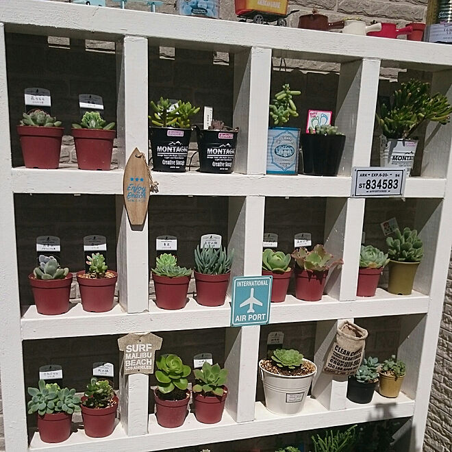 玄関/入り口/建売住宅/エクステリア/ディスプレイ棚DIY/多肉植物寄せ植え...などのインテリア実例 - 2017-09-18 10:29:07