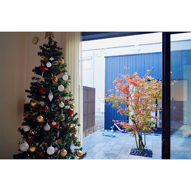紅葉/クリスマスツリー/コの字の家/中庭/リビングのインテリア実例 - 2019-12-12 15:47:12