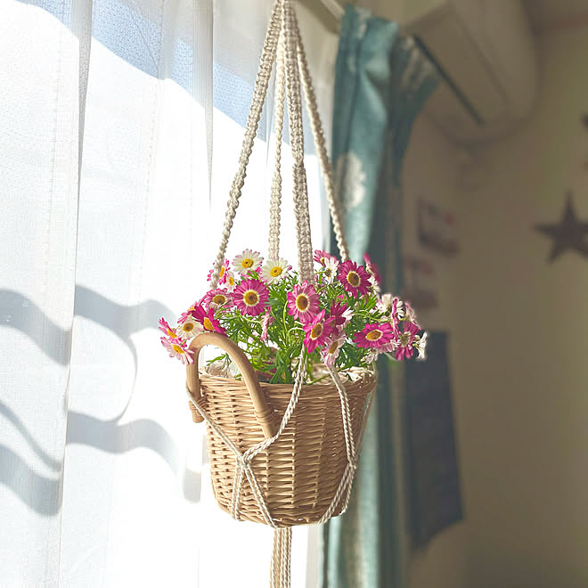 プランツハンガー マーガレット 鉢植えの花 カインズホーム リビングのインテリア実例 21 02 28 06 23 03 Roomclip ルームクリップ