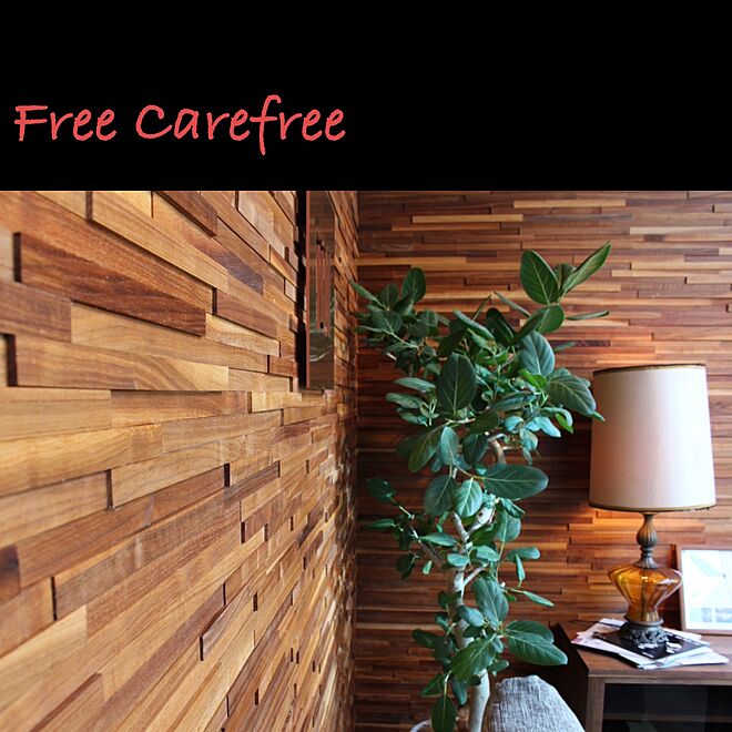 free_carefree___fcfさんの部屋