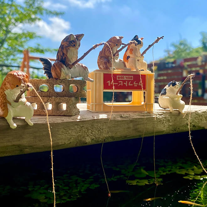 メダカビオトープ 水草増殖中 浮き草 トロ舟ビオトープ 釣り日和 などのインテリア実例 22 07 07 08 54 41 Roomclip ルームクリップ