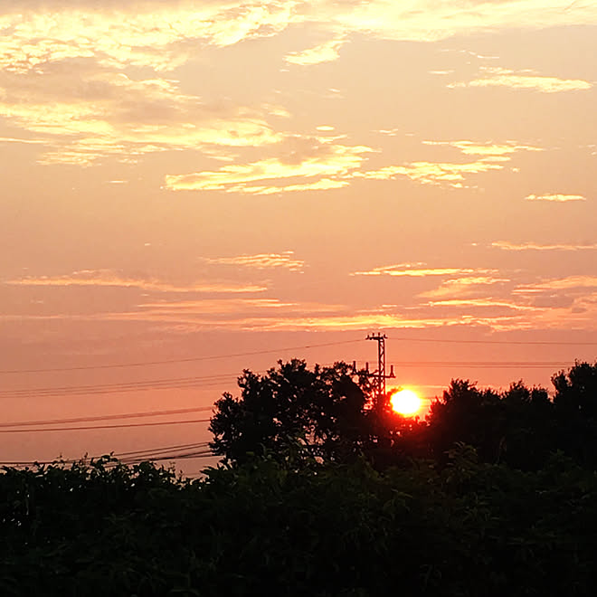 日本にいてこそ/好きなモノを並べる暮らし/自由な投稿/夕方の1枚/空を見上げて…...などのインテリア実例 - 2019-08-19 09:50:26