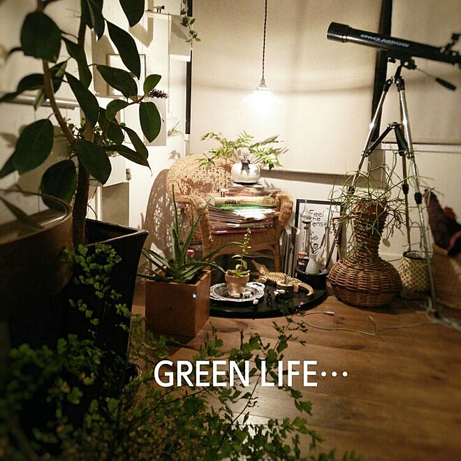 壁/天井/植物/green/日常の風景/リノベーション...などのインテリア実例 - 2015-08-27 20:47:27