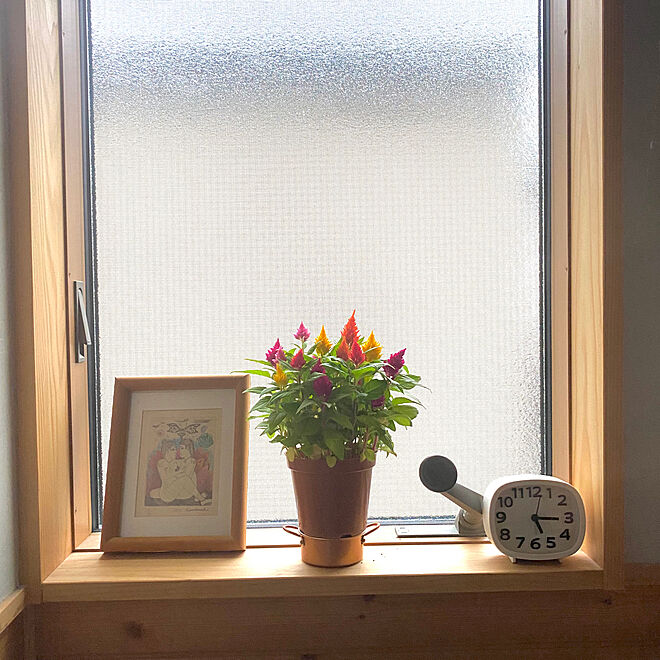 senbei.sakuramochiさんの部屋