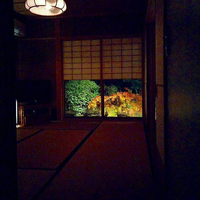 hiraya2015さんの部屋